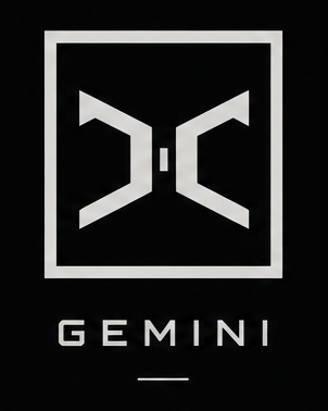 Linienzeichnung GEMINI